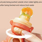 Baby Fruit Food Feeder Pacifier